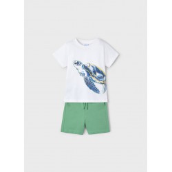 CONJUNTO 2 PIEZAS TORTUGA...